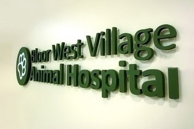 雕刻PVC亚克力字 (1)